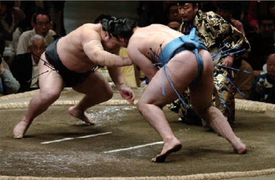 sumo twn.jpg